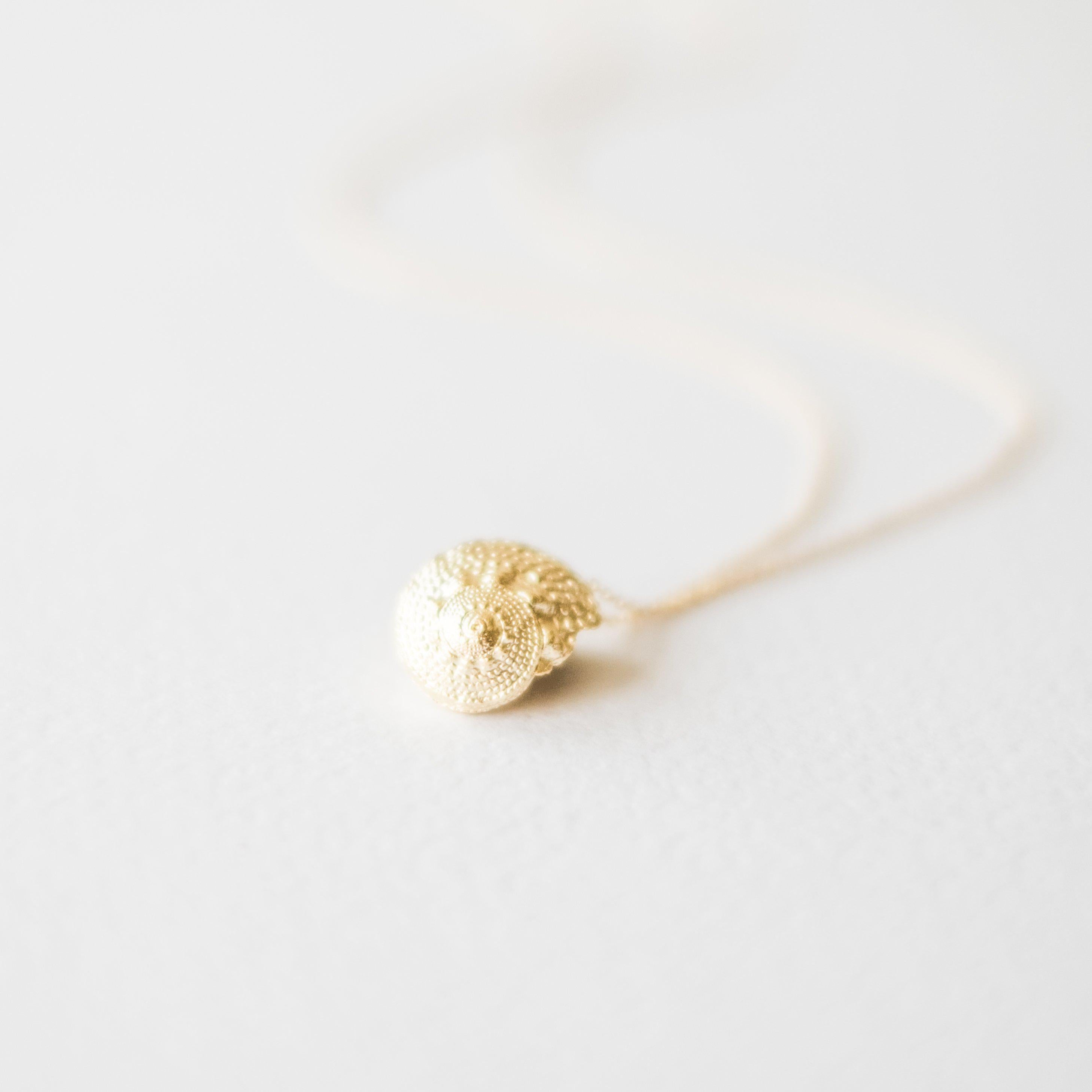 Gold Seashell Necklace