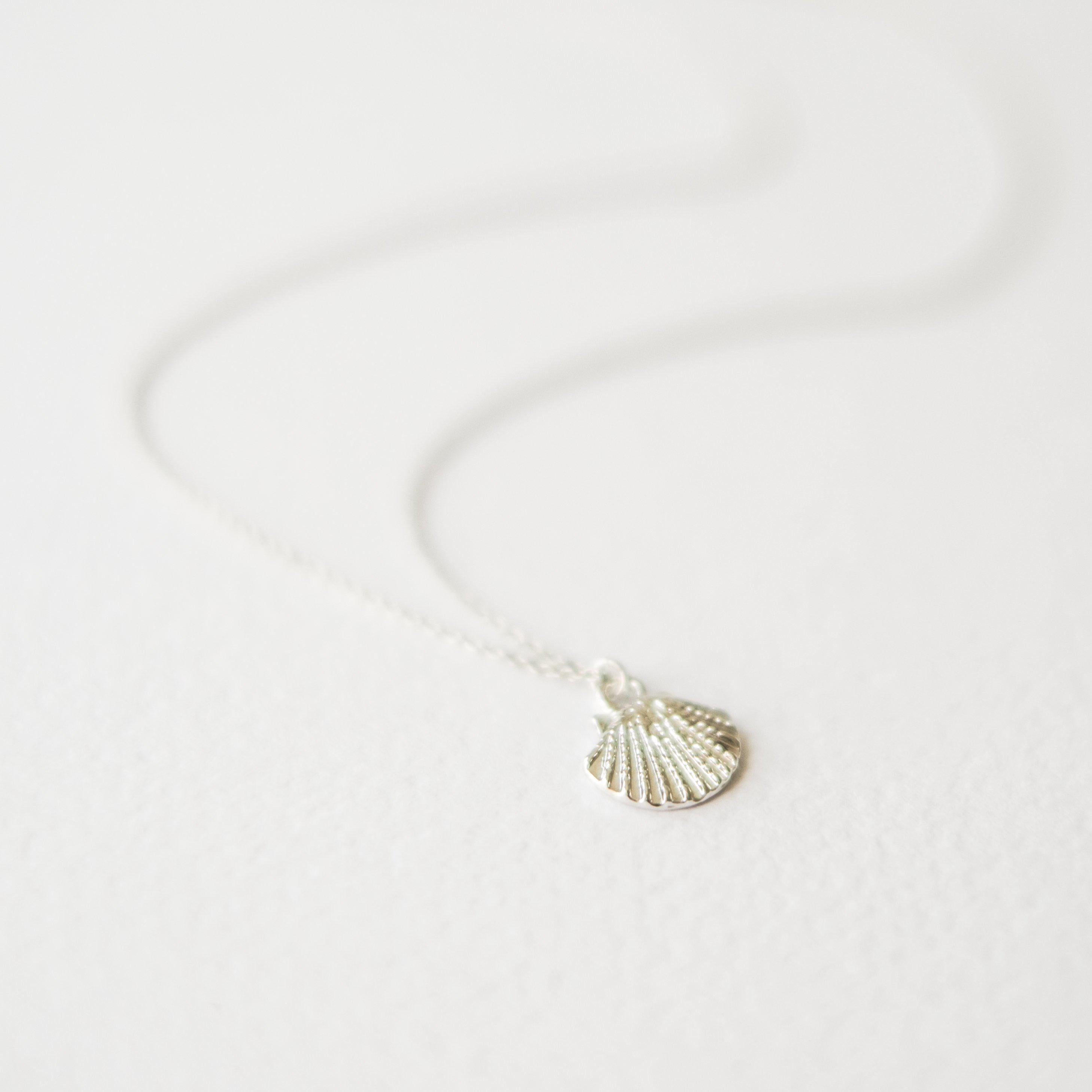 Silver Sea Shell Necklace